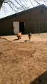 Afb20170420 (29)